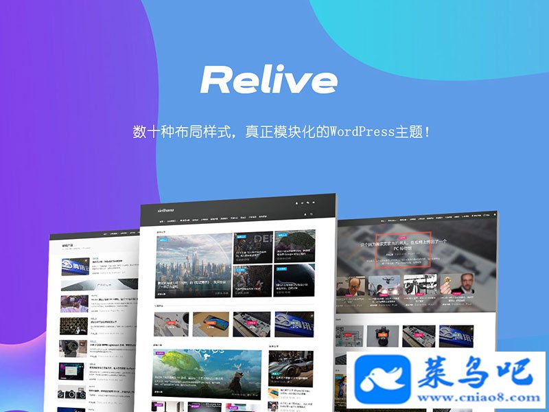 WordPress Relive 3.1ý岩ģ