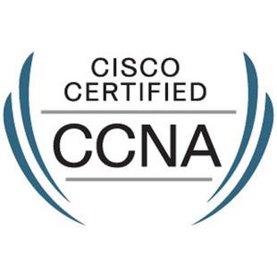 2019˼ccna+Ϸ